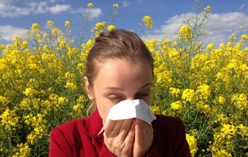 Allergie: meccanismi e ruolo dei linfociti B e T